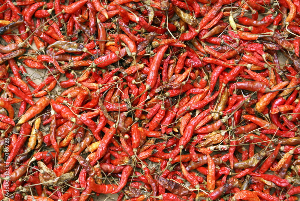 Fototapeta premium Red pepper