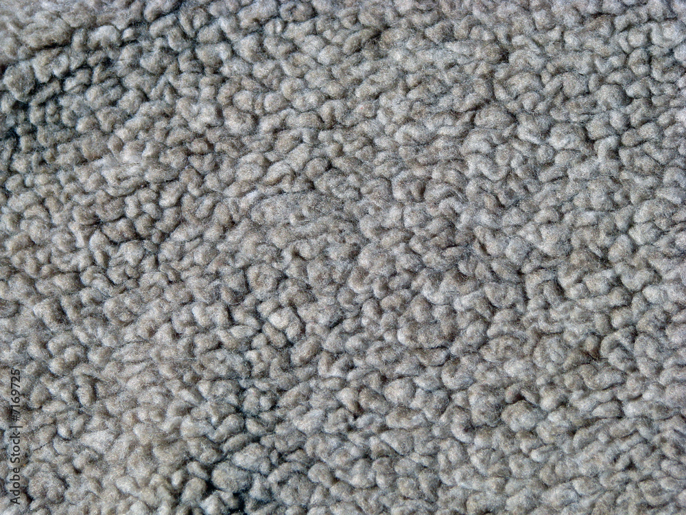 Carpet Texture Carpet Texture