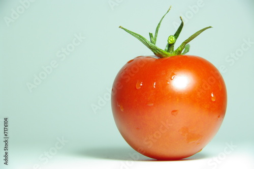 tomate photo