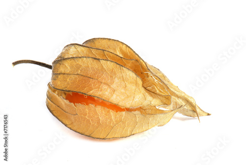 Fotografía Physalis isolated on white background