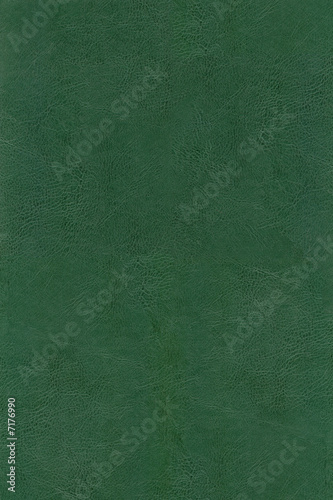 HQ XXL green leather texture