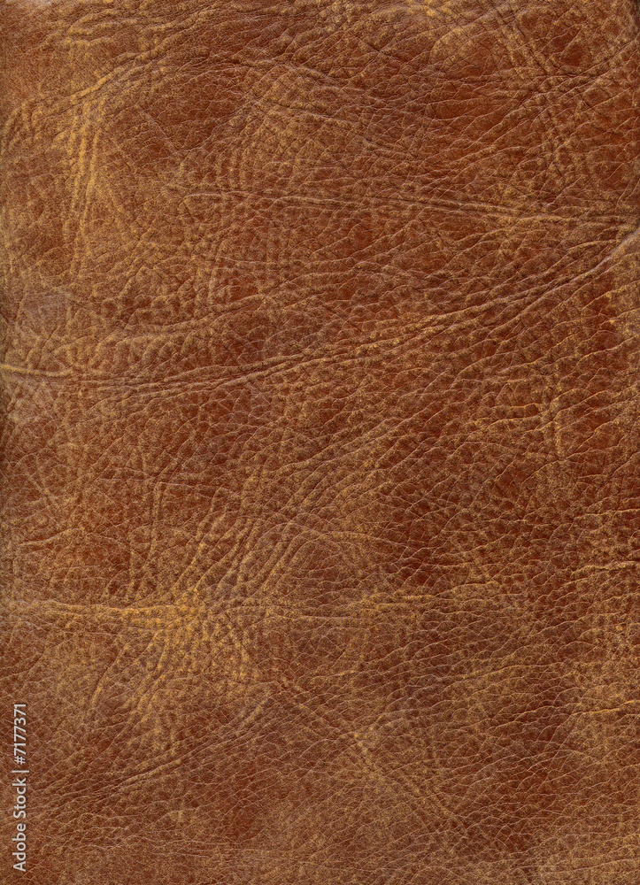 Obraz premium HQ Brown leather texture