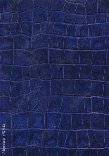 Blue reptile leather imitation texture