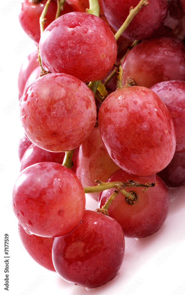 Branch of grapes Branch of grapes