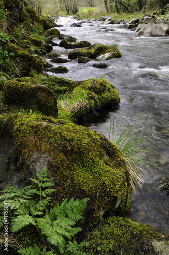 The Vicdessos  river photo