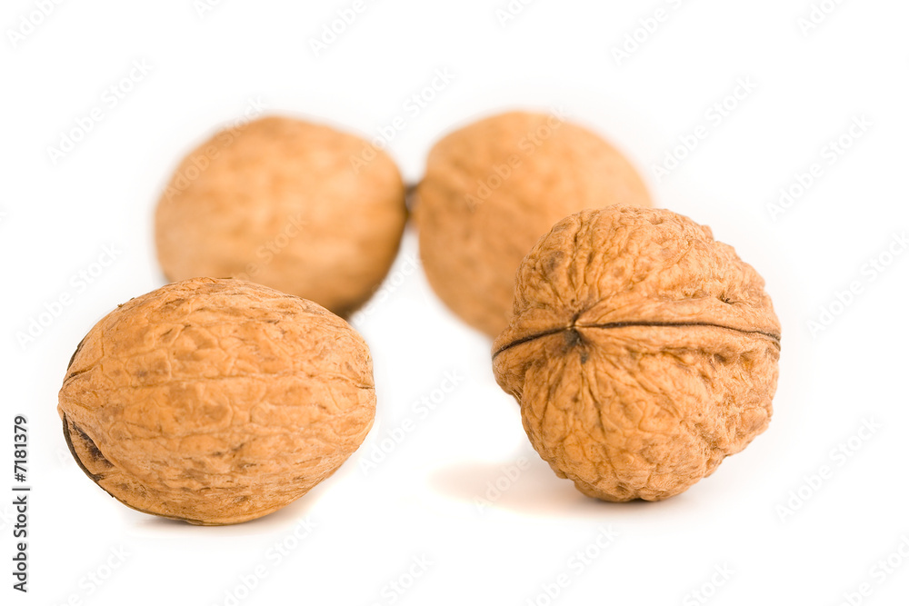 health food walnut snack on isolated background nutshell health food walnut snack on isolated background nutshell