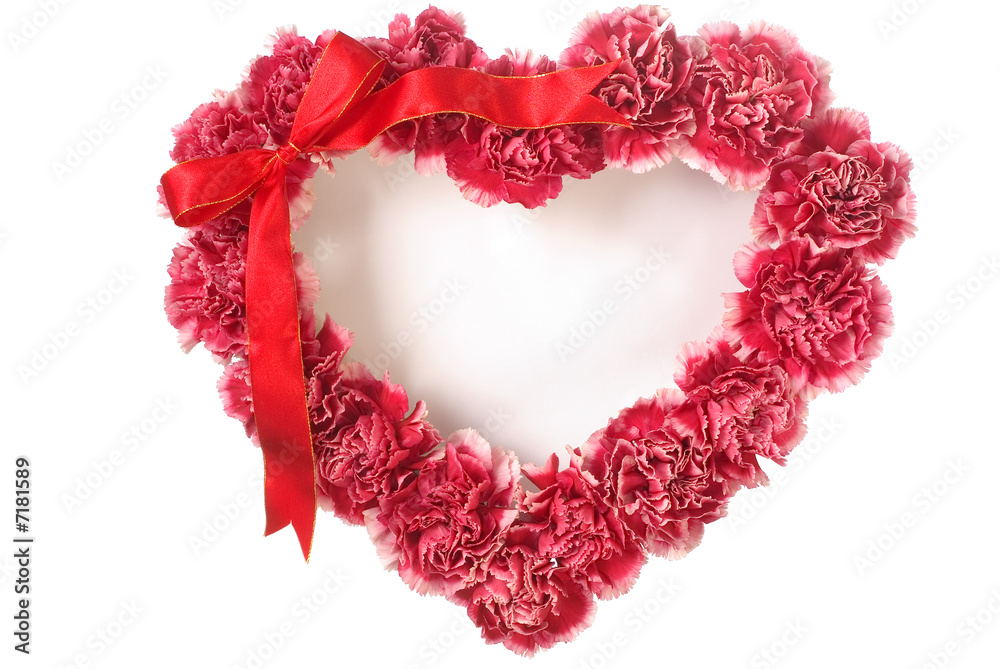 Carnation In Love Shape