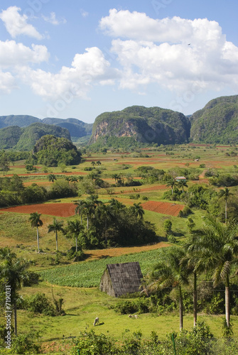 Viñales