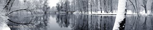 Lake in winter panorama