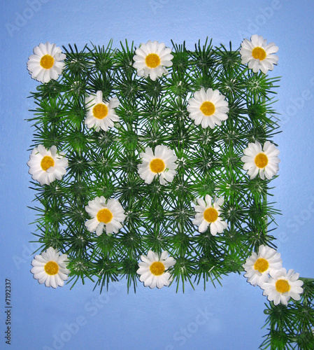 tapis de fleur
