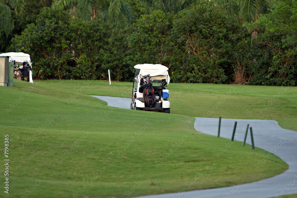 Golfers on a golf cart driving on the cart path