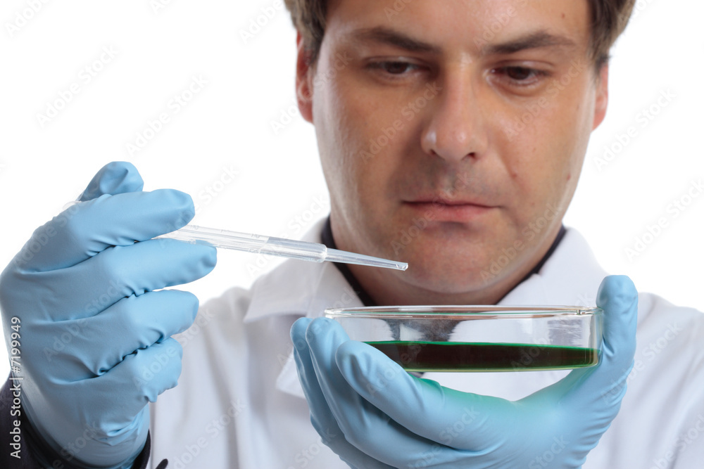 Scientist or chemist with petri dish pipet. Focus dish hands Scientist or chemist with petri dish pipet. Focus dish hands