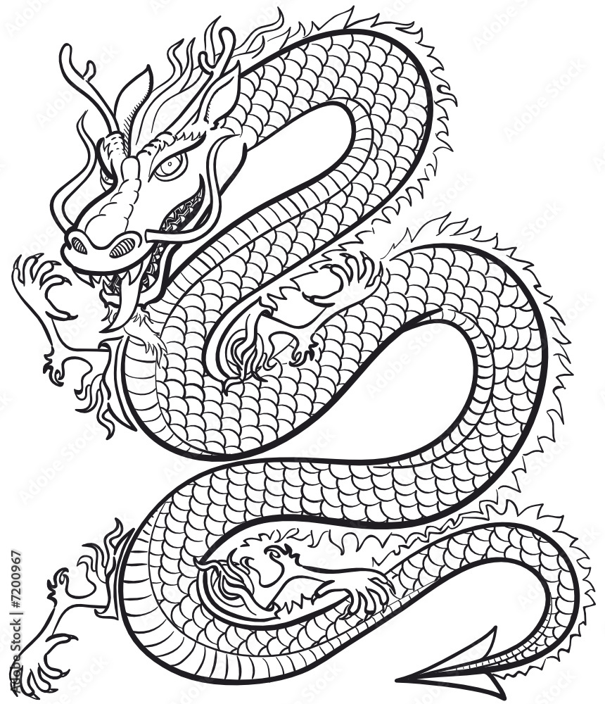 Fototapeta premium Great Dragon