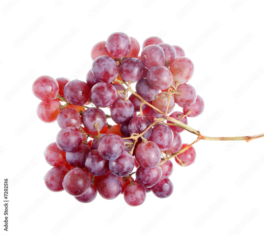 Grape cluster isolated