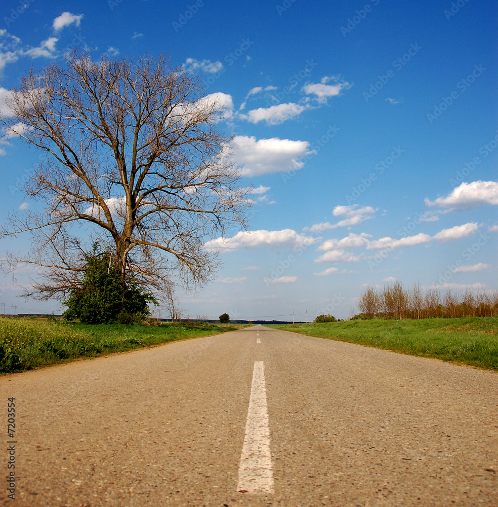 Fototapeta premium Straight road