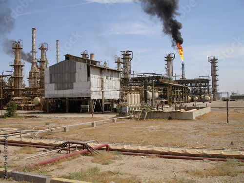 oil plant 2 photo
