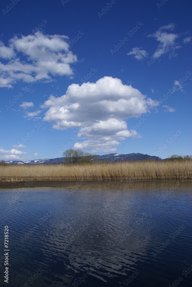 Fototapeta premium Frühlingstag am Bodensee