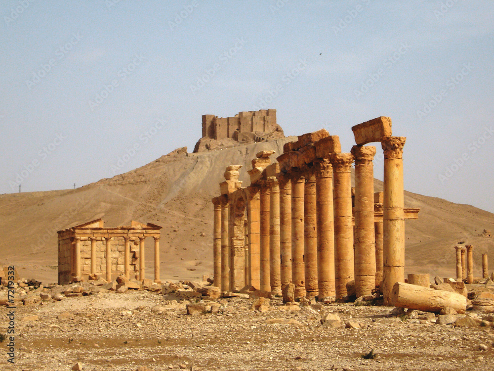 Palmyra 1