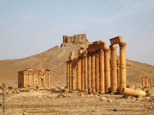 Obraz na płótnie Palmyra 1 w salonie