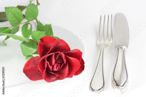 rose on a plate