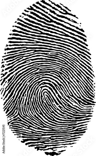 Vector format of finger print.