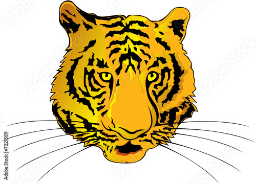The Tiger