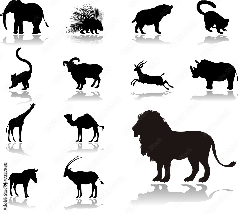 Naklejka premium Set icons - 24. Animals. Set of twelve vector icons