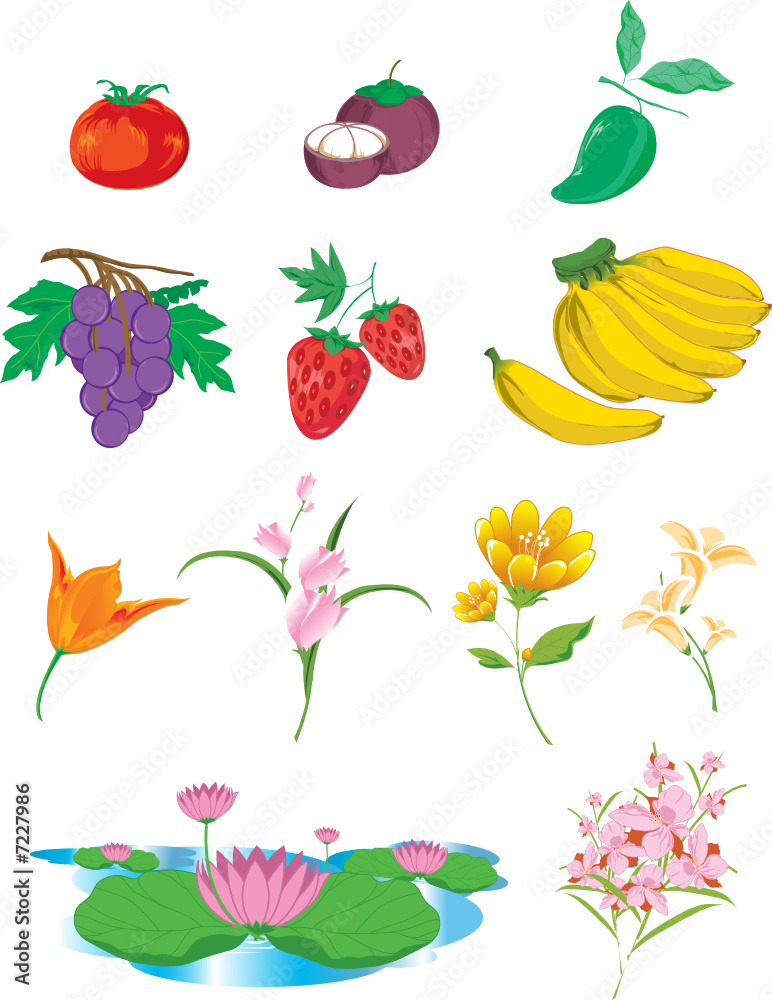 Group of fruits and vegetables Group of fruits and vegetables
