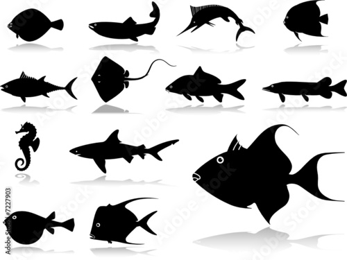 Set icons - 22. Fish. Set of twelve vector icons