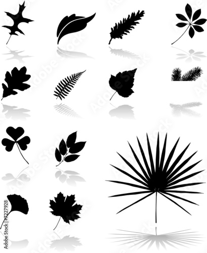 Set icons - 26. Leaves. Set of twelve vector icons