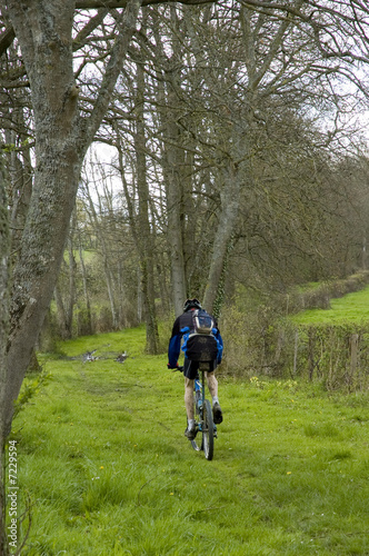 Randonnée de vtt en forêt 3332