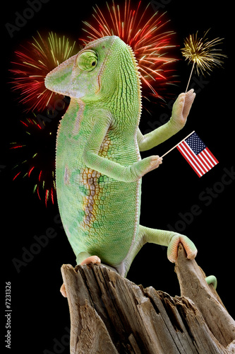 Chameleon Fireworks