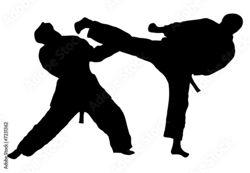 Karate fight