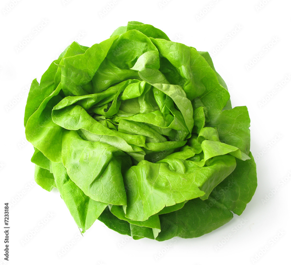 Lettuce perfect isolated on white background Lettuce perfect isolated on white background
