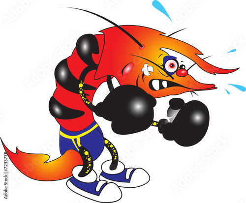 vector illustration of ugly shrimp boxer cartoon character