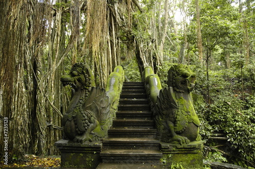 Fotografi monkey forest ubud