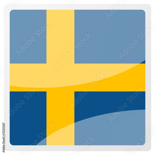 swedish square aqua button