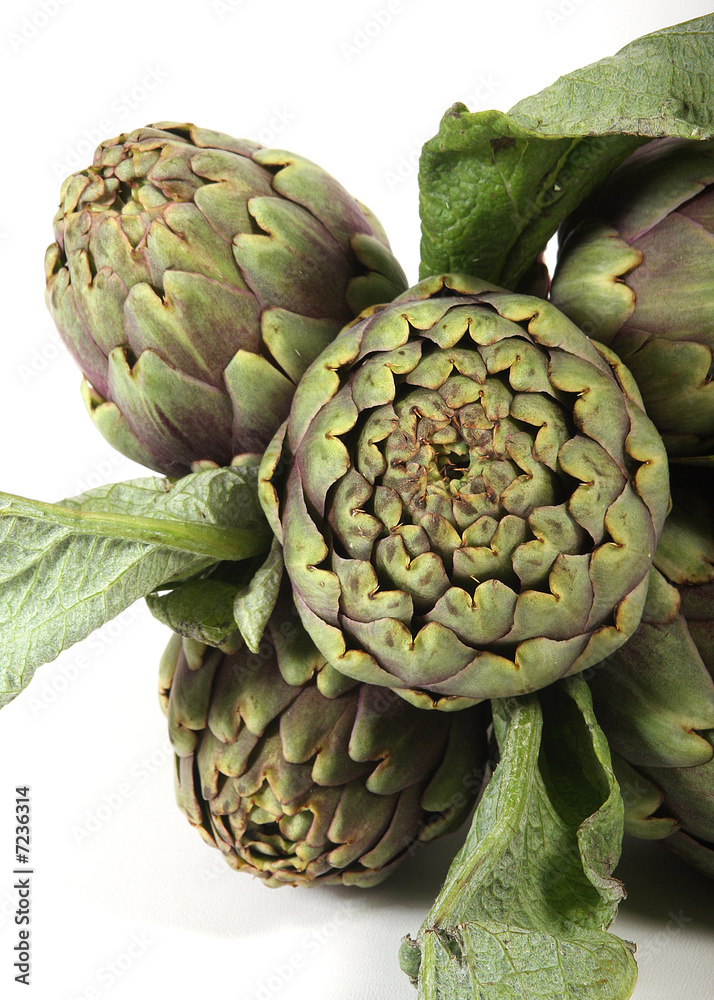Obraz premium Artichaut