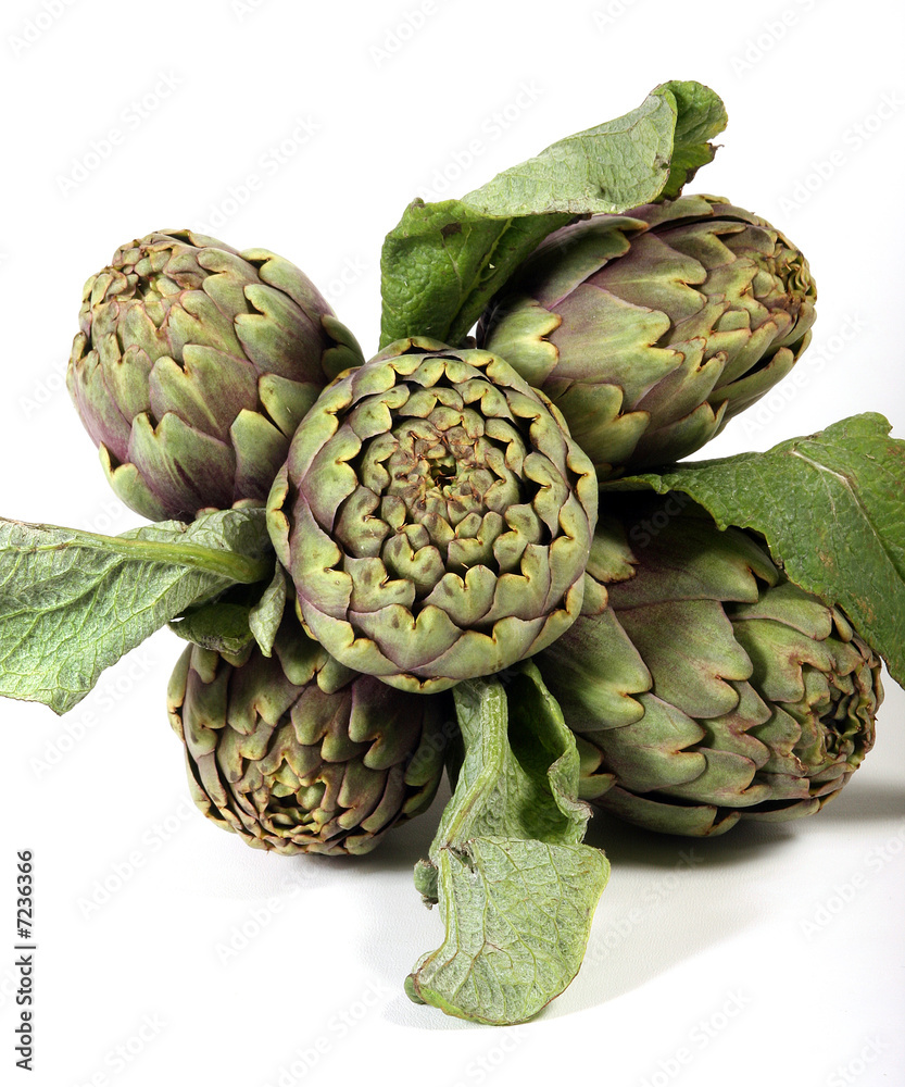 Fototapeta premium Artichaut