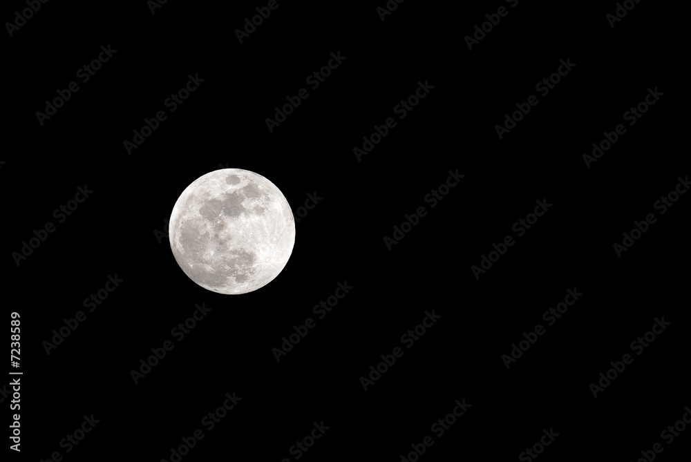 Moon Moon