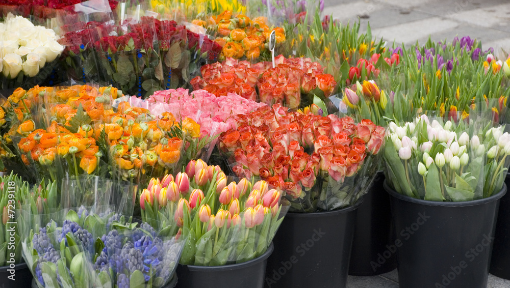 Obraz premium flowers