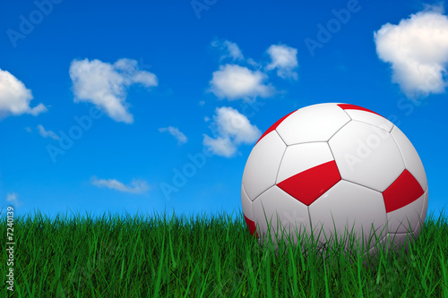 Polish soccer ball