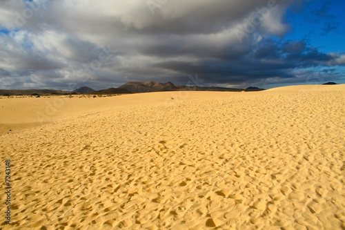 The silence of desert