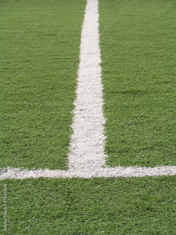 Soccer Field