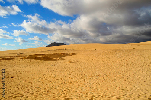 The silence of desert