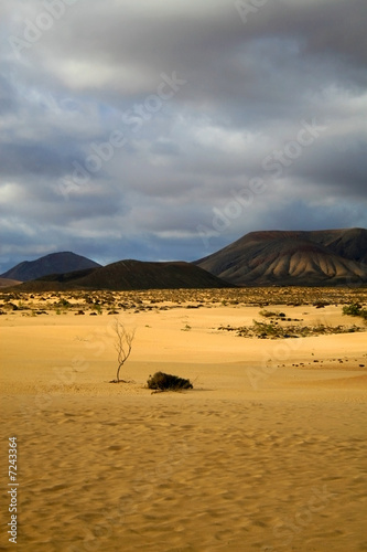The silence of desert