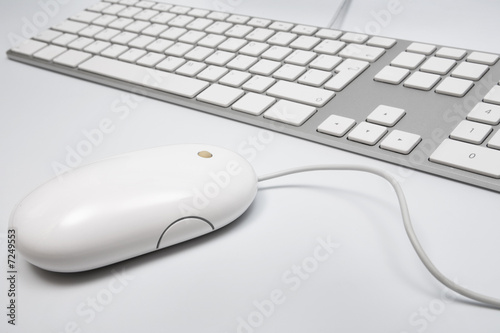 Slika na platnu modern keyboard and the mouse