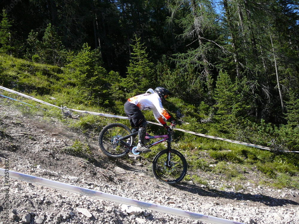 Fototapeta premium downhill