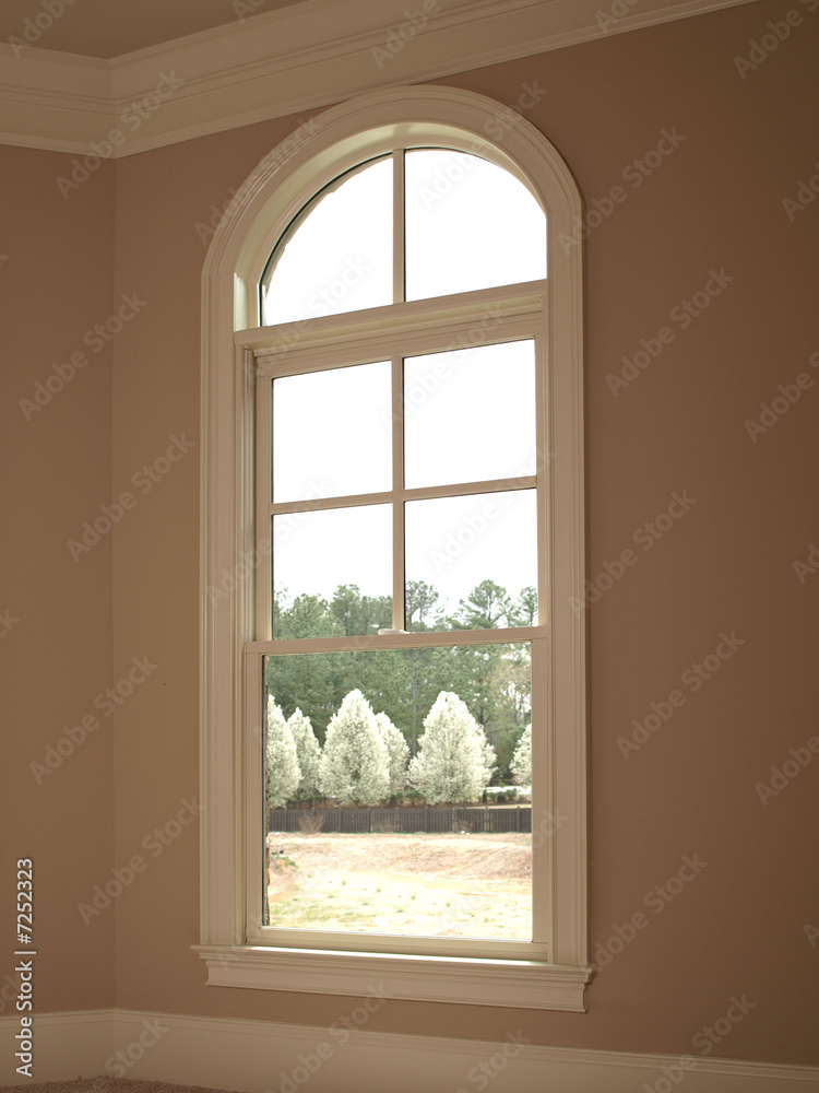 Fototapeta premium Luxury Single Arch Window 1