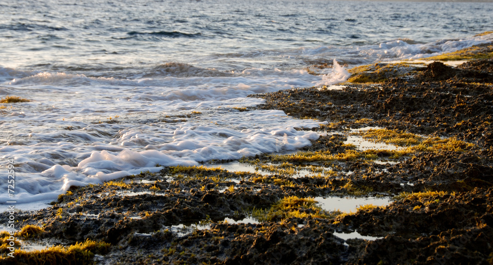 Seashore during evening light Seashore during evening light